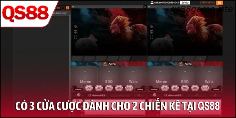 Có 3 cửa cược dành cho 2 chiến kê tại QS88