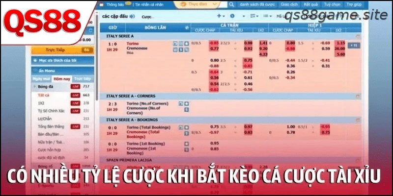 Có nhiều tỷ lệ cược khi bắt kèo cá cược tài xỉu bóng đá