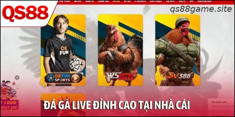 Đá gà live đỉnh cao tại nhà cái