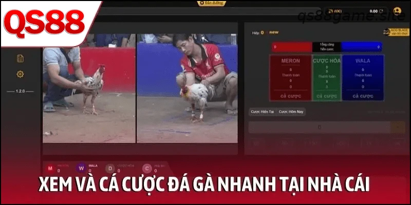 Xem và cá cược đá gà nhanh tại nhà cái trực tuyến